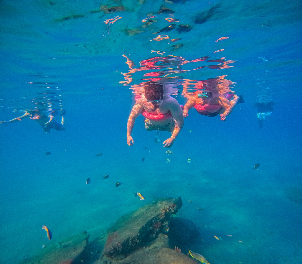 Two snorkelers swimming among colorful fish
